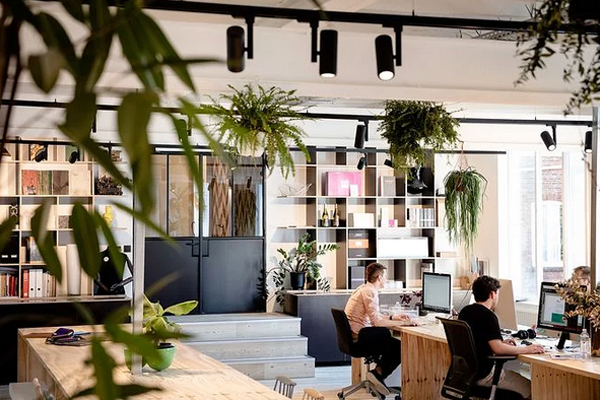 國富縱橫 國富縱橫